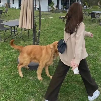 给我一口嫁